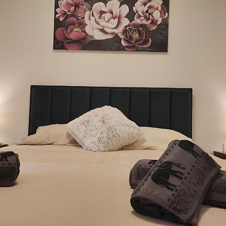 Apartman Lavanda -Zadar Eksteriør bilde